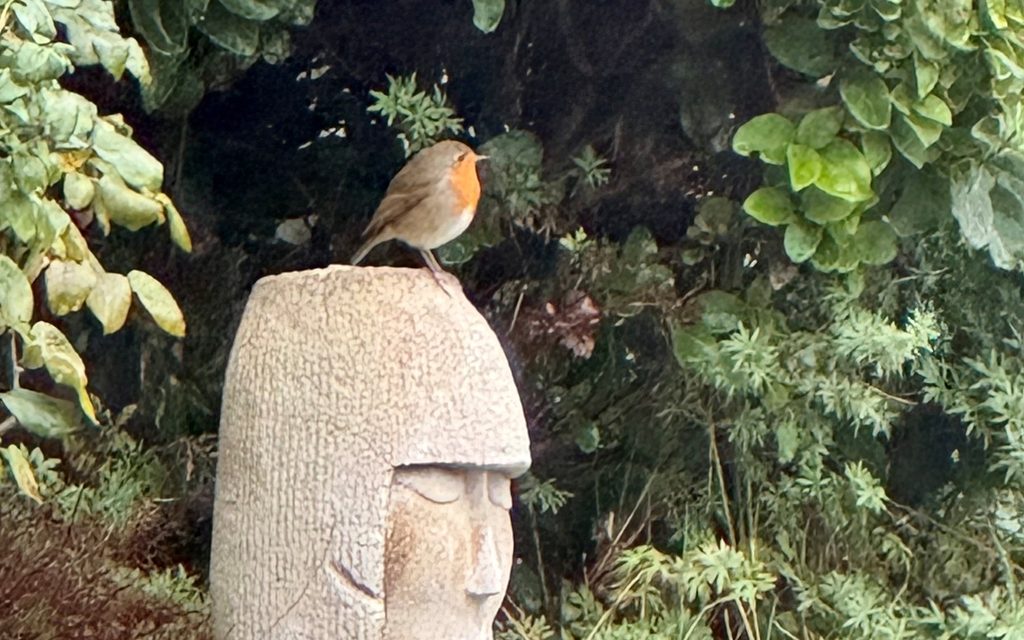 A robin perched on a stone sculpture of Mother Gaia in a garden near my healing room.